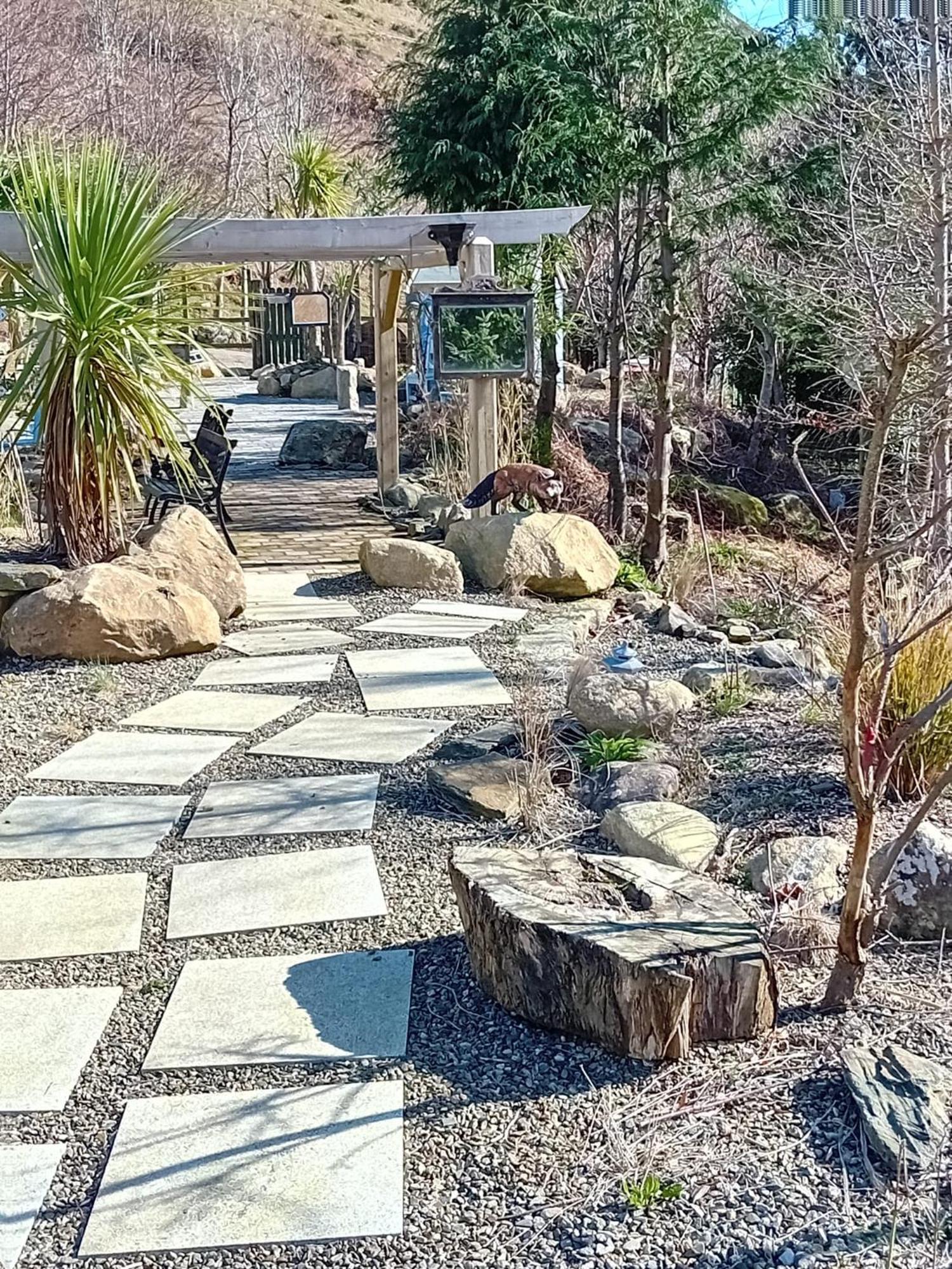Clarisses Cottage Laragh Bagian luar foto